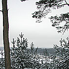 Blick von den Dubrower Bergen