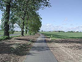 Radweg bis Buchholz