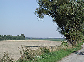 Bilck nach Heinersdorf