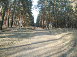 Weg nach Kirchhofen